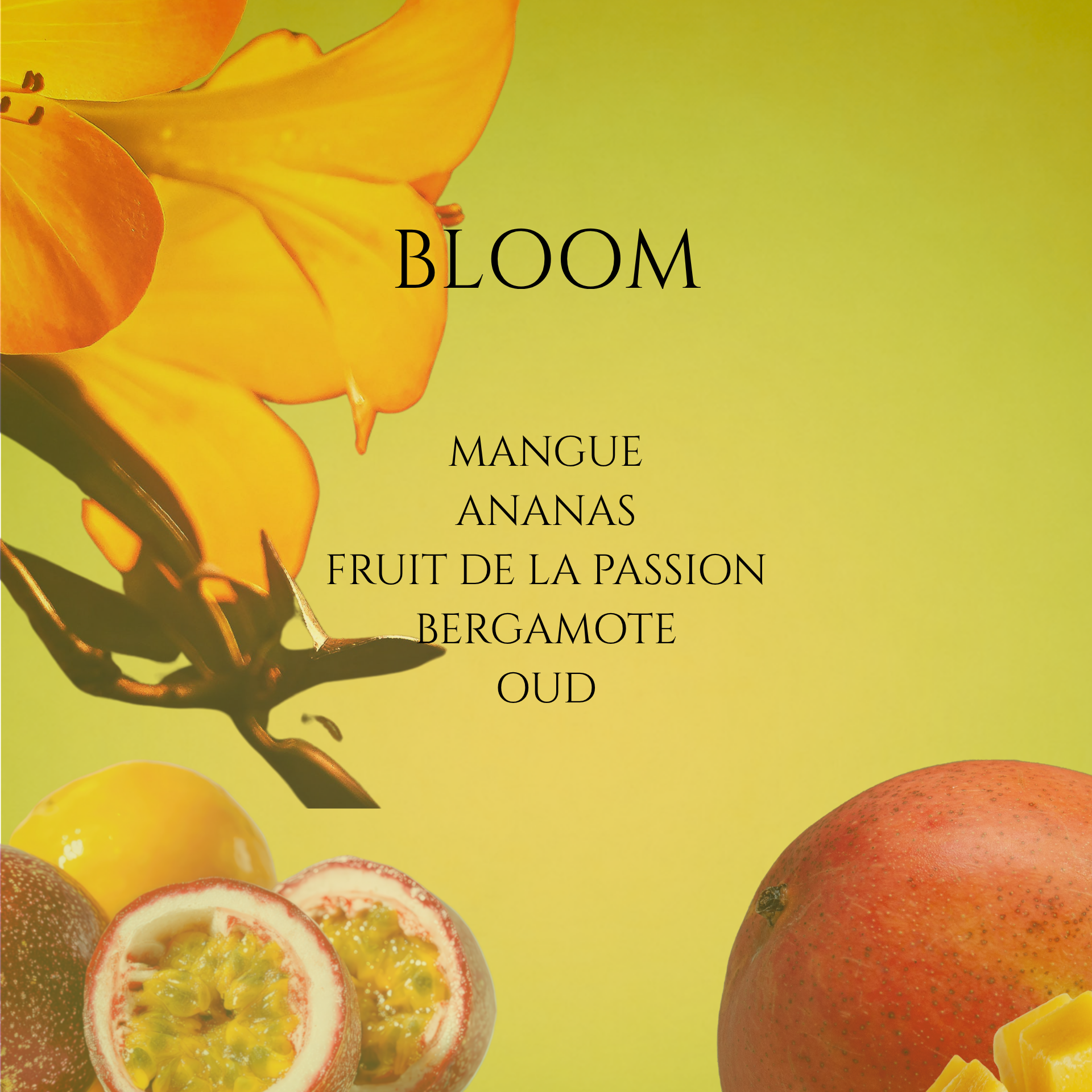 BLOOM FARANSI